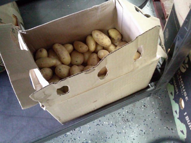 Cardboard box filled with russet potatoes.
